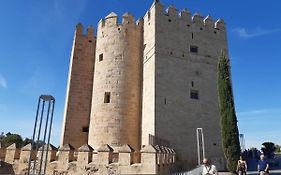 Loft La Calahorra Con Posibilidad De Aparcamiento Pregunta Por El Pack Mas Amor